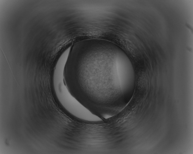 X0000093110689200710171223