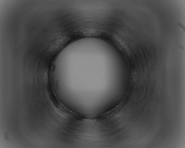 X0000093110690200710171223