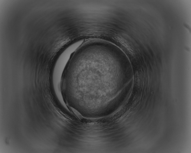 X0000093110692200710171223