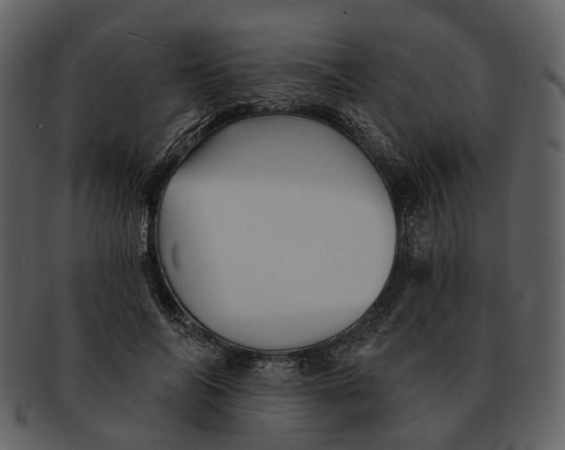 X0000093110694200710171223