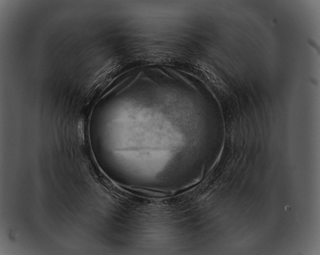 X0000093110696200710171223