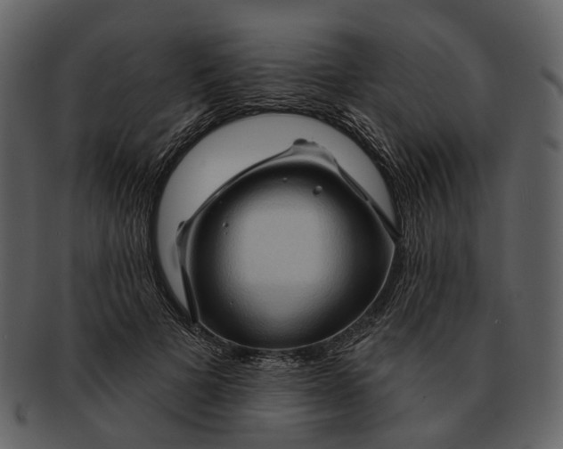 X0000093110697200710171223