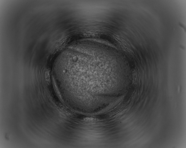 X0000093110699200710171223