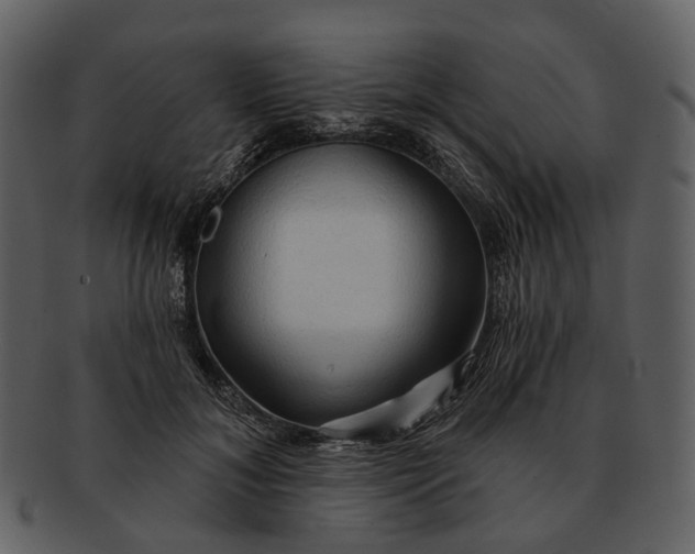 X0000093110700200710171223