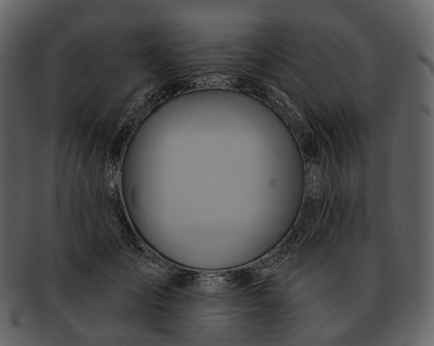 X0000093110701200710171223