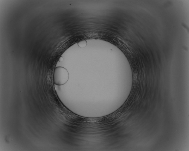 X0000093110702200710171223