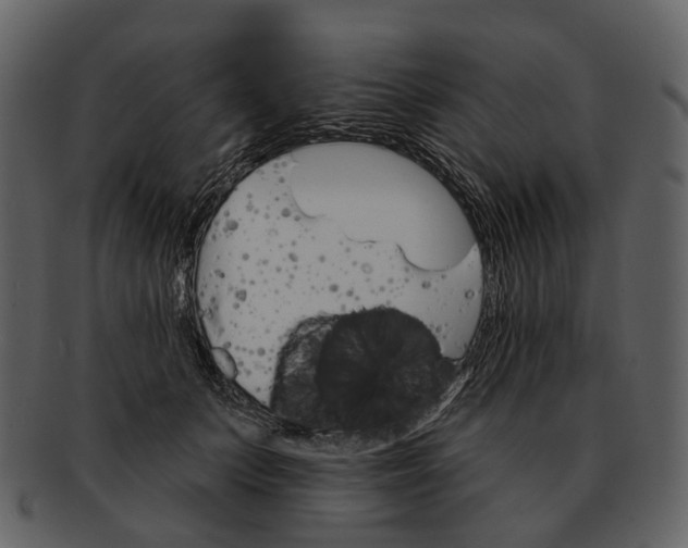 X0000093110703200710171223