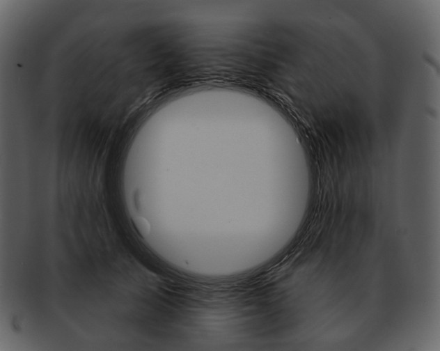 X0000093110705200710171223