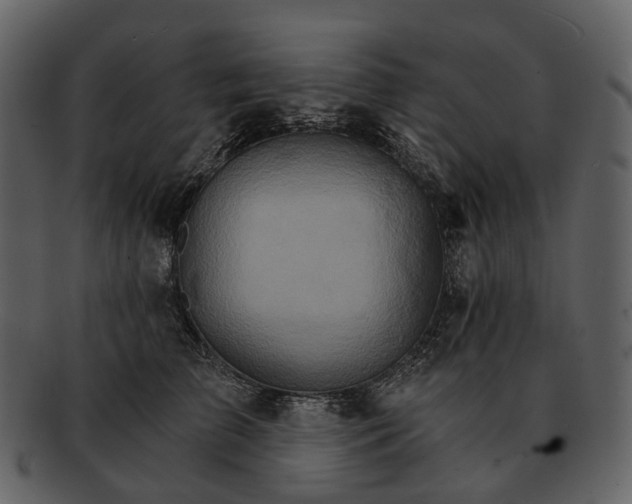 X0000093110709200710171223