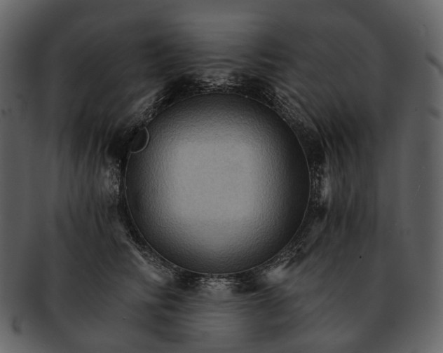 X0000093110710200710171223