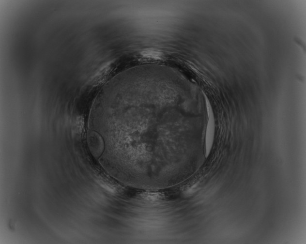 X0000093110711200710171223