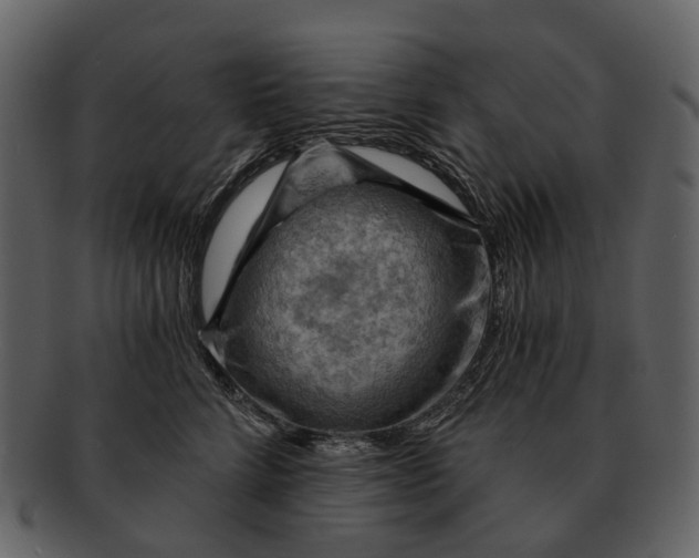 X0000093110712200710171223