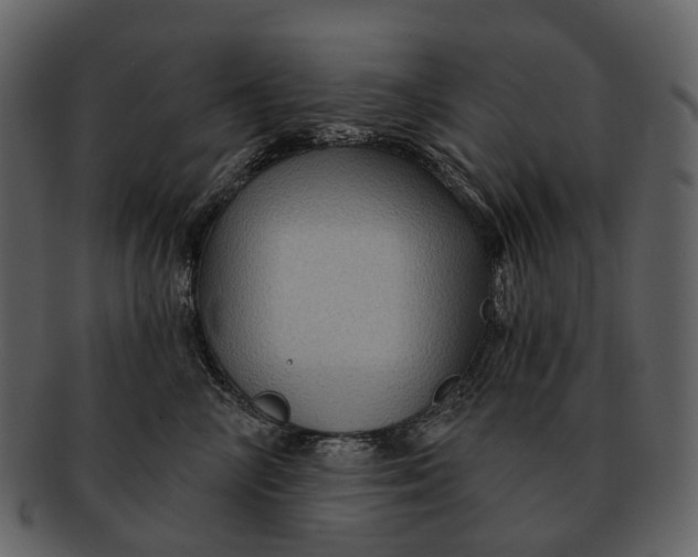 X0000093110714200710171223