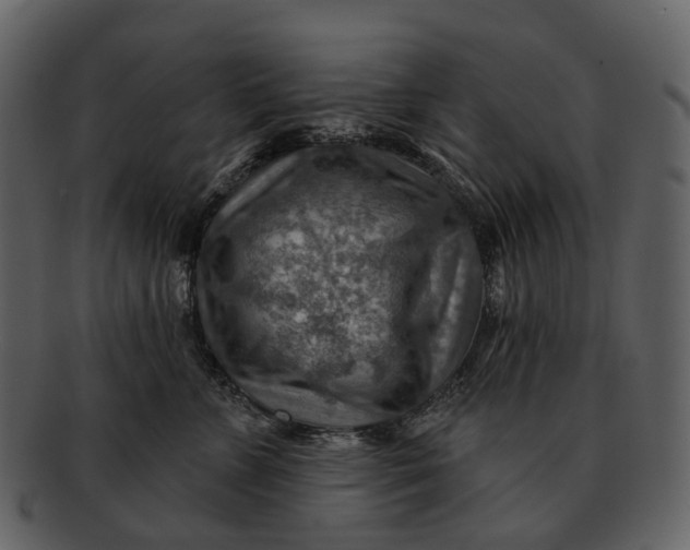 X0000093110715200710171222