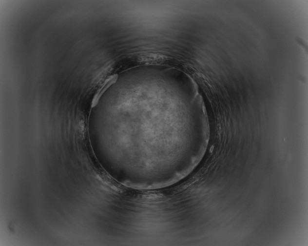 X0000093110716200710171222