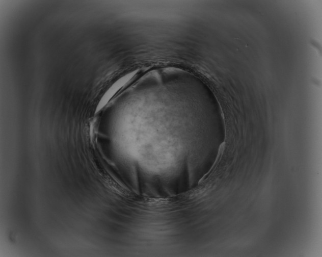 X0000093110720200710171222