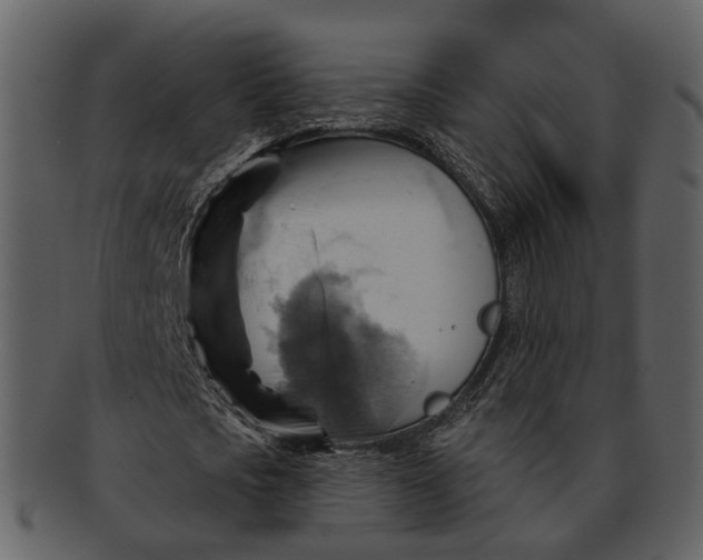 X0000093110721200710171222