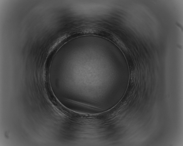 X0000093110722200710171222