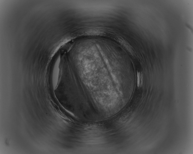 X0000093110723200710171222