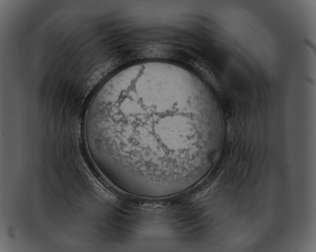 X0000093110725200710171222