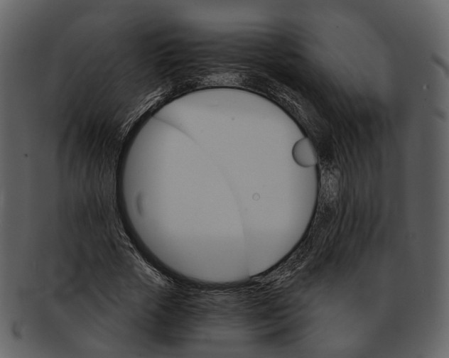 X0000093110729200710171222