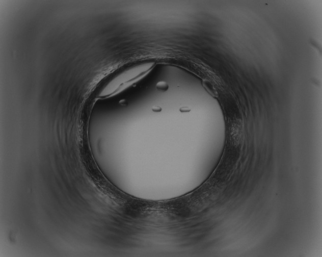 X0000093110732200710171222