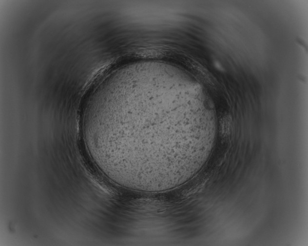 X0000093110733200710171222