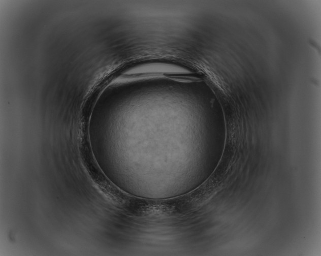 X0000093110736200710171222