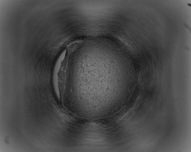 X0000093110737200710171222