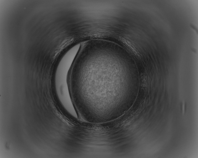 X0000093110738200710171222