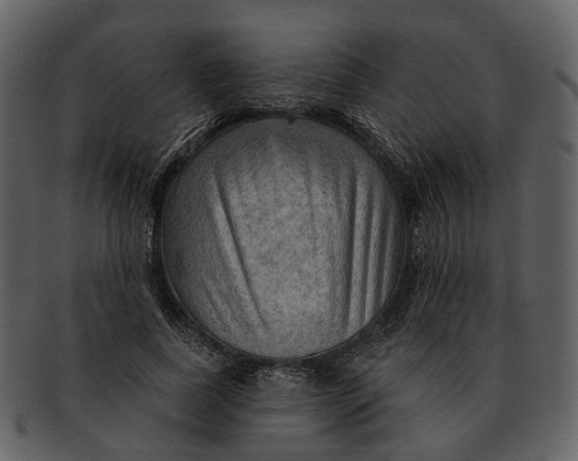 X0000093110739200710171222