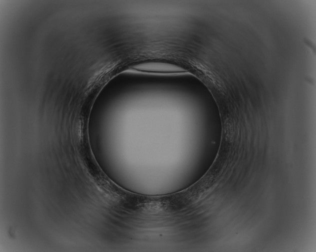 X0000093110740200710171222