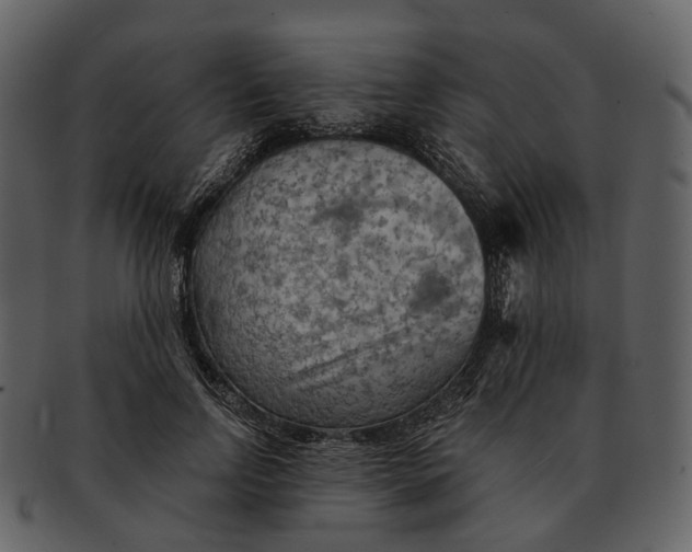 X0000093110742200710171222