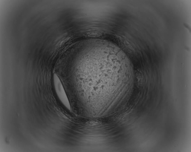 X0000093110745200710171222