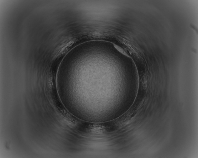 X0000093110746200710171222