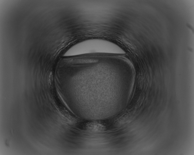 X0000093110747200710171222