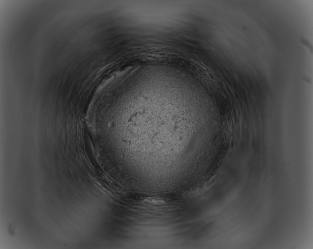 X0000093110749200710171222