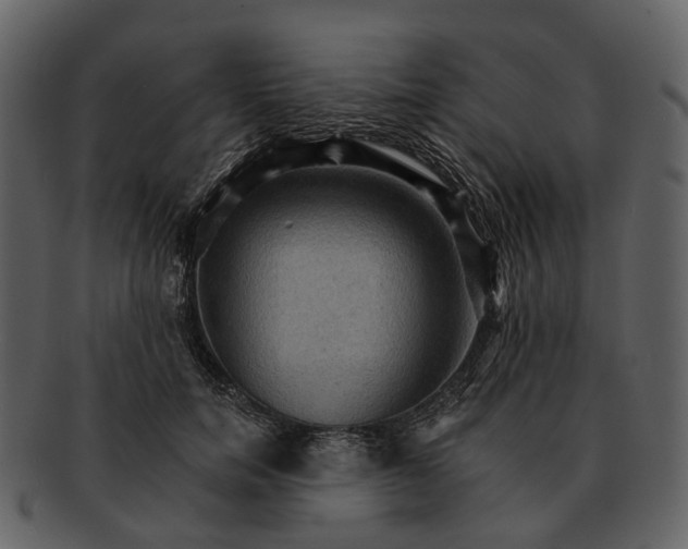 X0000093110750200710171222