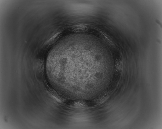 X0000093110753200710171222