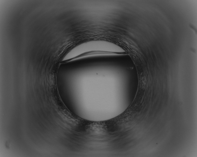 X0000093110756200710171222