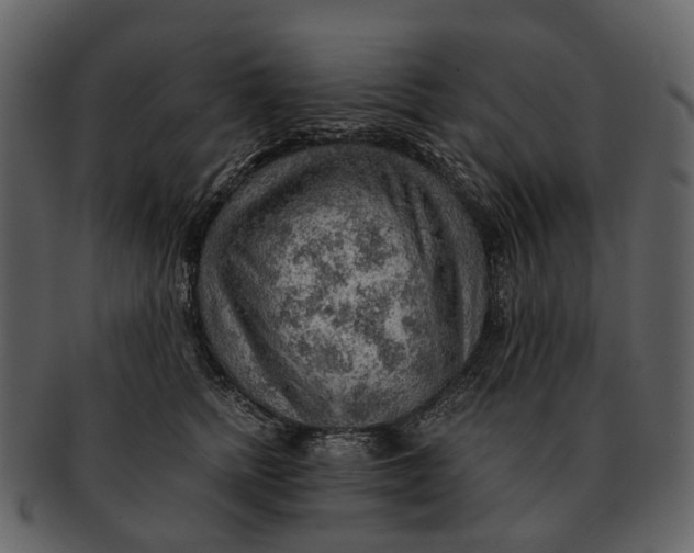 X0000093110758200710171222