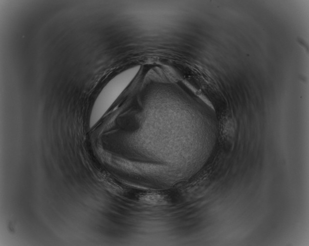 X0000093110759200710171222