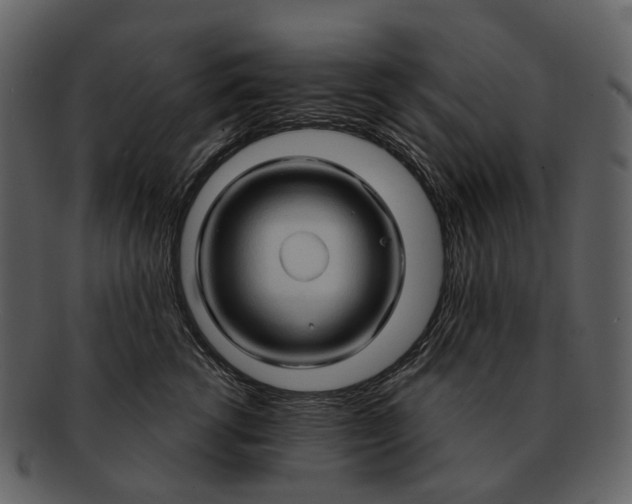 X0000093110762200710171222