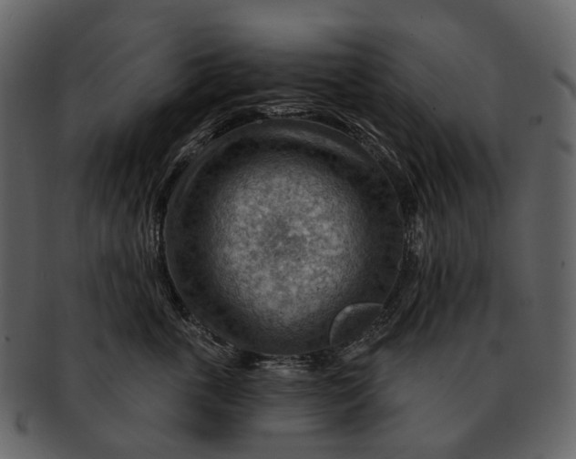 X0000093110763200710171222