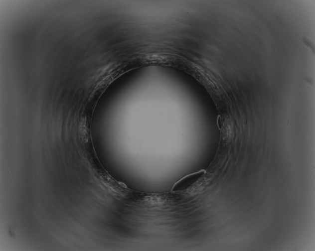 X0000093110764200710171222