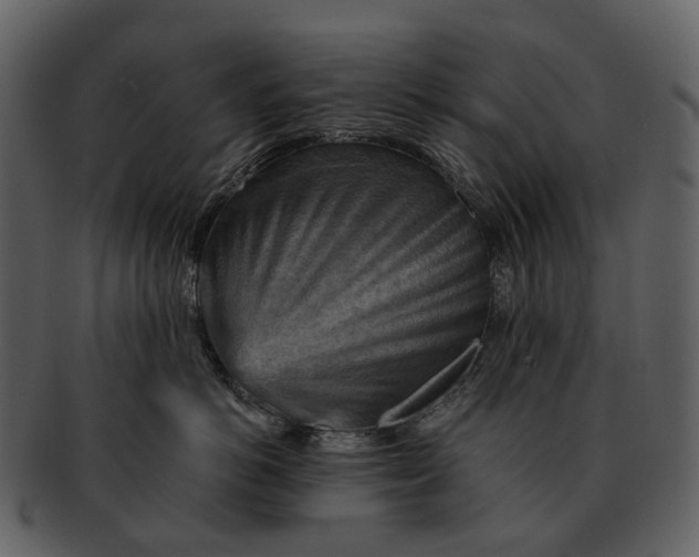 X0000093110766200710171222