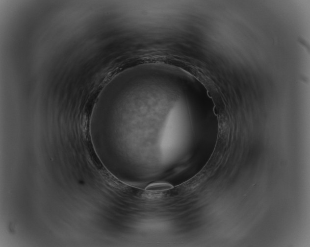 X0000093110767200710171222