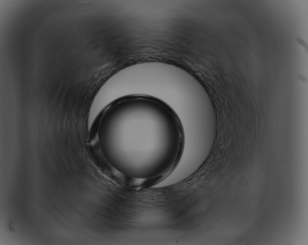 X0000093110768200710171222