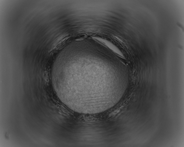 X0000093110774200710171222