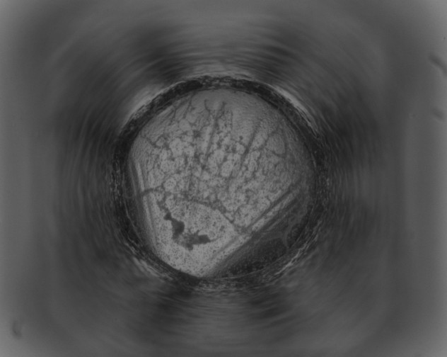 X0000093110775200710171222